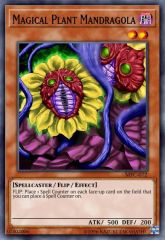 Magical Plant Mandragola