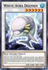 White Aura Dolphin