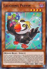 Laughing Puffin