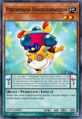 Performapal Handstandaccoon