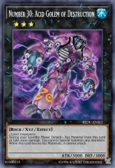 Number 30: Acid Golem of Destruction