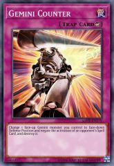 Gemini Counter