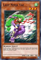 Lady Ninja Yae