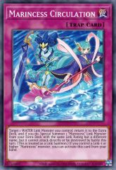Marincess Circulation