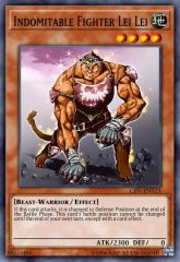 Indomitable Fighter Lei Lei