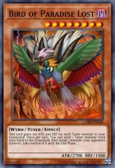 Bird of Paradise Lost
