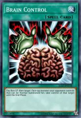 Brain Control