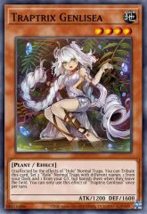 Traptrix Genlisea