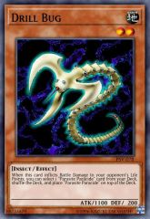 Drill Bug