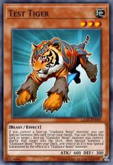 Test Tiger