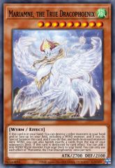 Mariamne, the True Dracophoenix