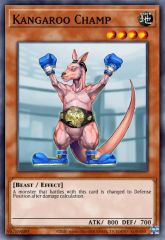 Kangaroo Champ