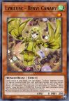 Lyrilusc - Beryl Canary