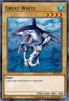 Great White