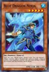 Blue Dragon Ninja