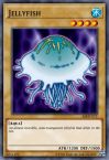 Jellyfish