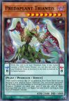 Predaplant Triantis