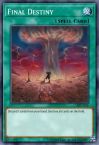 Final Destiny