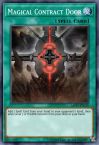 Magical Contract Door