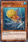 Cranium Fish