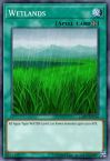 Wetlands