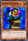 Rainbow Flower