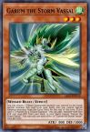 Garum the Storm Vassal