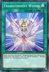 Transcendent Wings