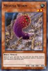 Medusa Worm
