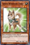 Shiba-Warrior Taro