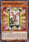 Flower Cardian Cherry Blossom