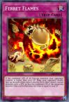 Ferret Flames