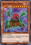Regenerating Rose