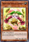 Prediction Princess Coinorma