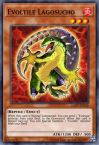 Evoltile Lagosucho