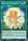 Naturia Blessing