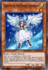 Valkyrie of the Nordic Ascendant