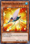 Performapal Skeeter Skimmer