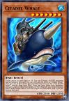 Citadel Whale