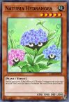 Naturia Hydrangea