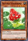 Naturia Strawberry