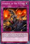 Survival of the Fittest