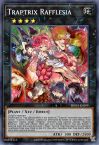 Traptrix Rafflesia