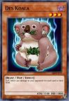 Des Koala