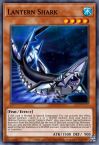 Lantern Shark