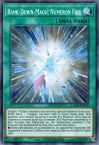 Rank-Down-Magic Numeron Fall