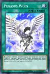 Pegasus Wing