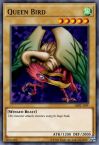 Queen Bird