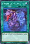 Moray of Avarice