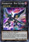 Raidraptor - Rise Falcon